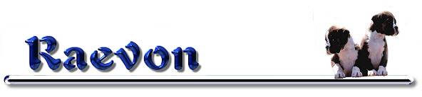 Raevon Boxers - banner2.jpg
