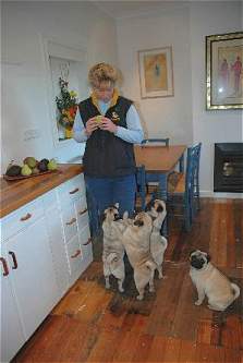 Belinda in the kitchen