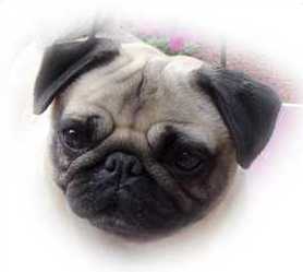 Billie March 2004