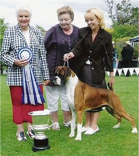 NZ Bred in Show - New Zealand 2005 handled by Nicole Harrison