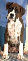 Kate at 14 weeks