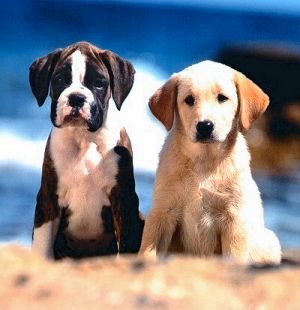 On beach for Calendar