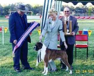 More Show Wins - Best in Show Wodonga KC - October 2001